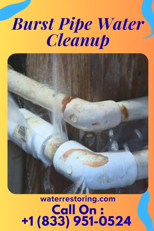 Burst Pipe Water Cleanup in Modena, PA