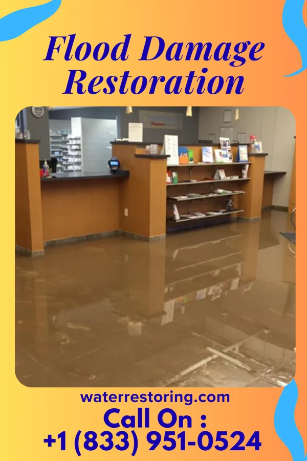 Flood Damage Restoration in Modena, PA