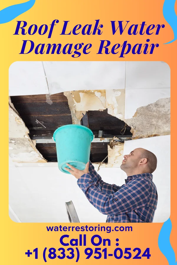 Roof Leak Water Damage Repair in Modena, PA