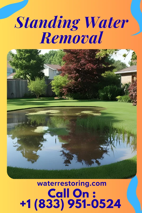 Standing Water Removal in Modena, PA